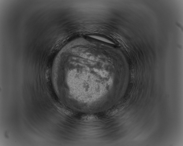 X0000096950503200802291100