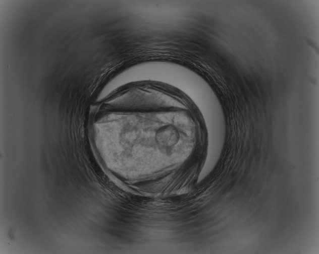 X0000096950504200802291100