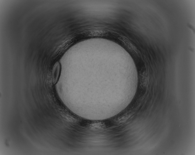 X0000096950505200802291100