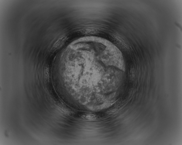 X0000096950506200802291100