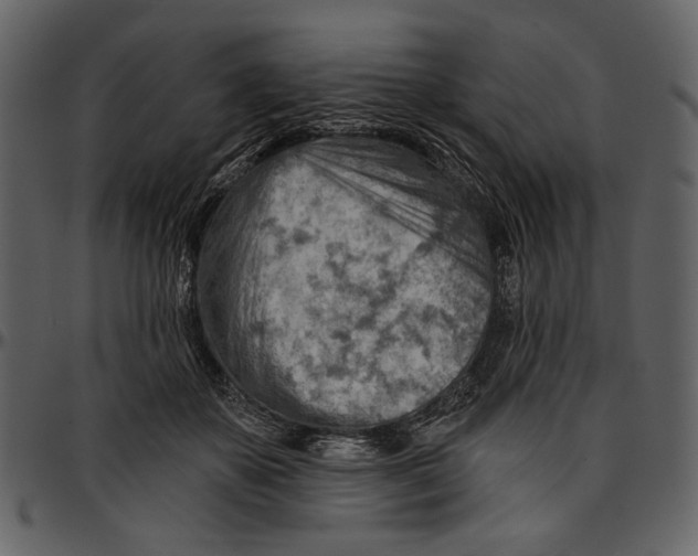 X0000096950507200802291100