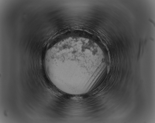 X0000096950508200802291059