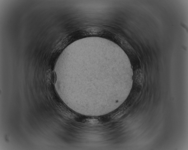 X0000096950509200802291059