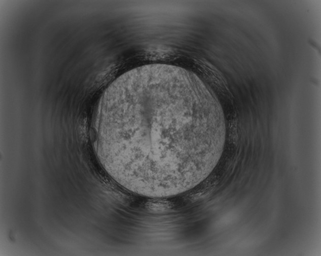 X0000096950510200802291059