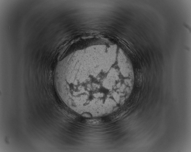 X0000096950511200802291059