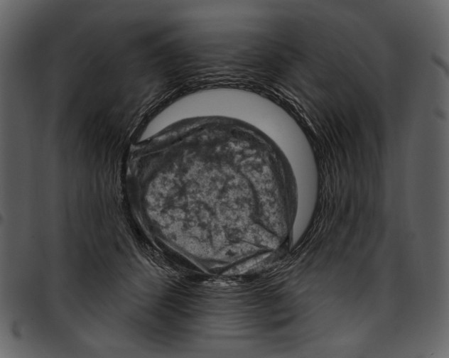 X0000096950512200802291059