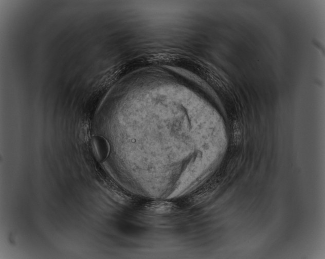 X0000096950514200802291059