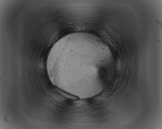 X0000096950516200802291059