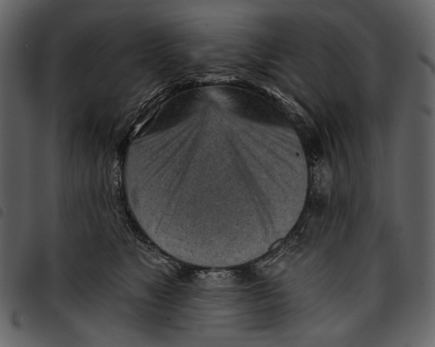 X0000096950517200802291059