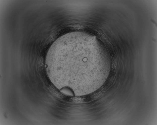 X0000096950518200802291059