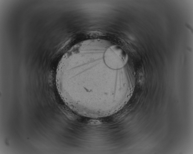 X0000096950519200802291059