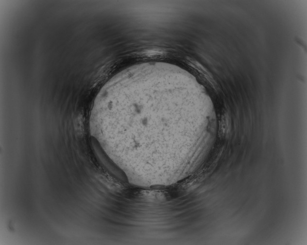 X0000096950520200802291059