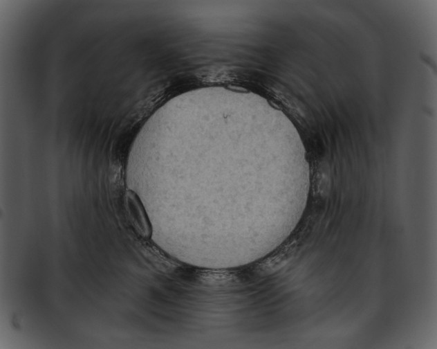 X0000096950521200802291059