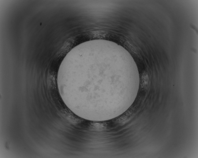 X0000096950522200802291059