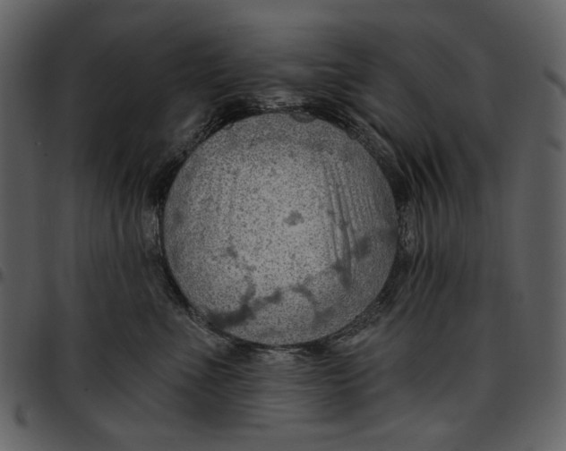 X0000096950523200802291059