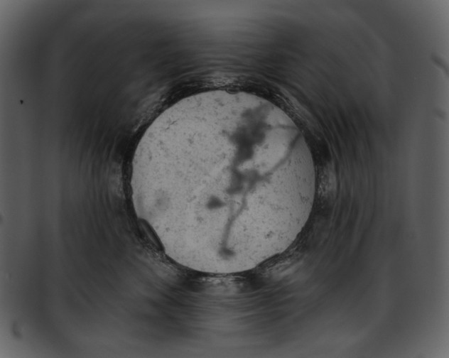 X0000096950524200802291059