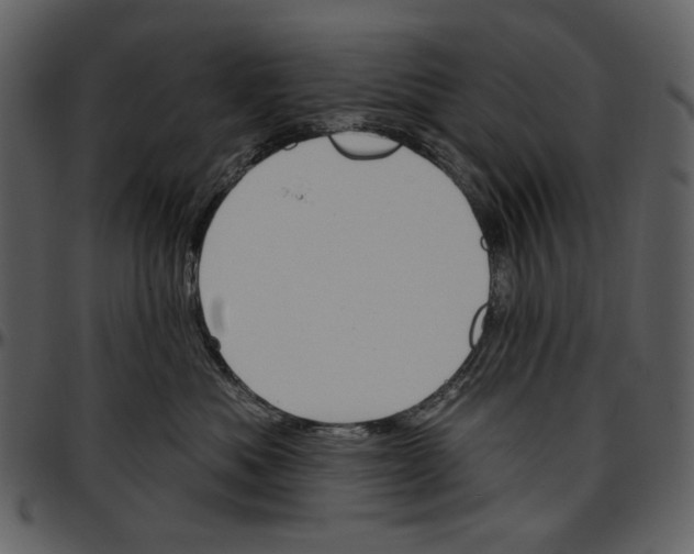 X0000096950525200802291059