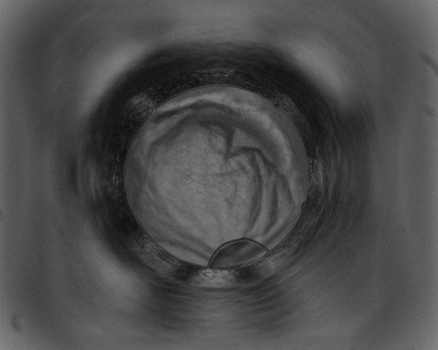 X0000096950526200802291059