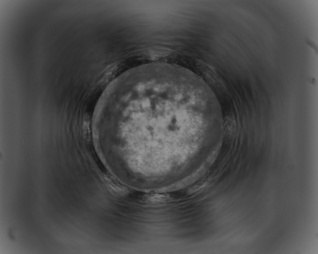 X0000096950527200802291059