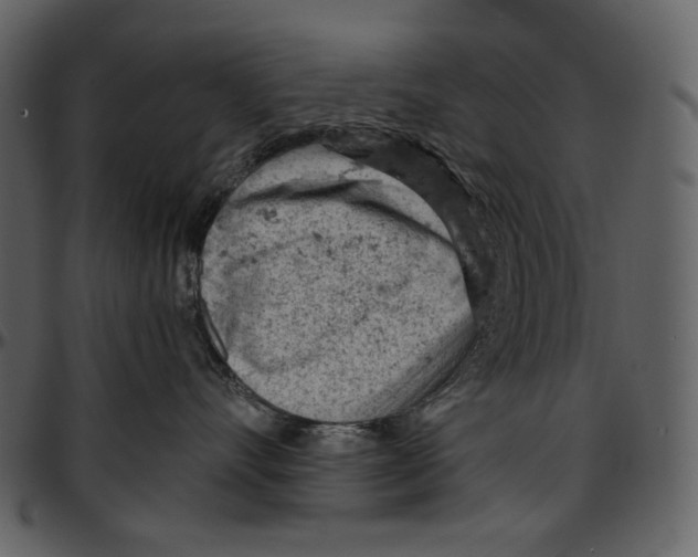 X0000096950528200802291059