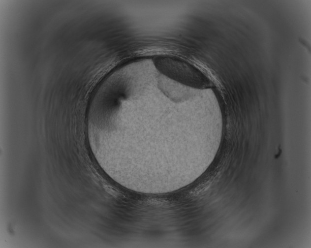 X0000096950529200802291058