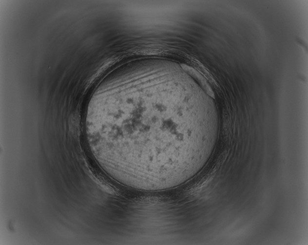 X0000096950530200802291058