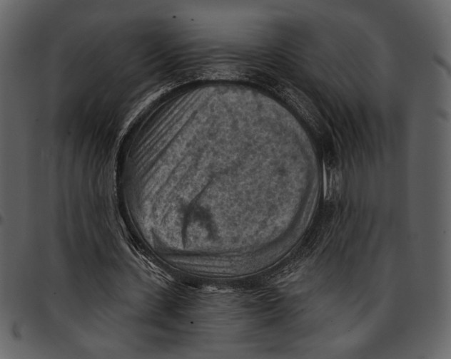 X0000096950531200802291059