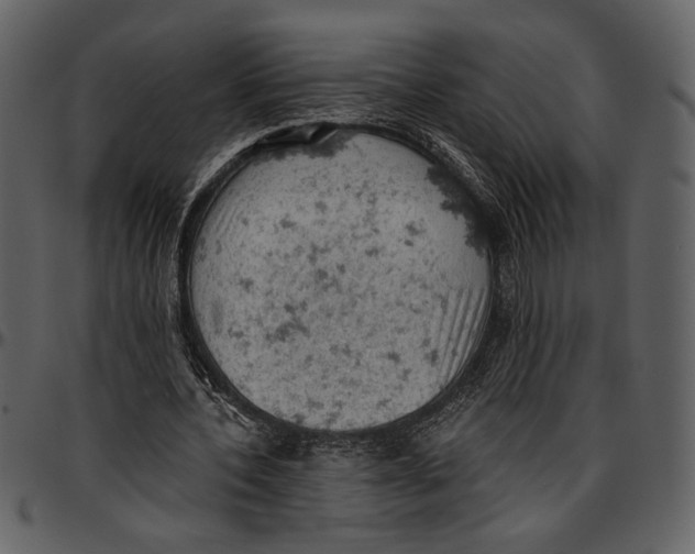 X0000096950532200802291059