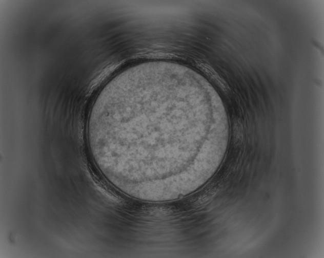 X0000096950533200802291059