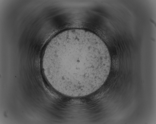 X0000096950534200802291059