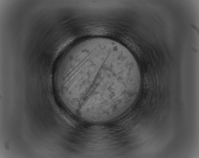 X0000096950535200802291059