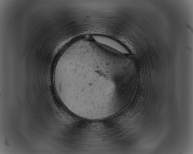 X0000096950536200802291059