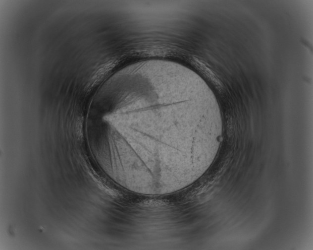 X0000096950537200802291059