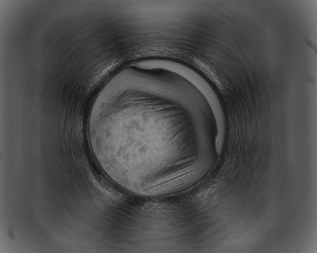 X0000096950538200802291059