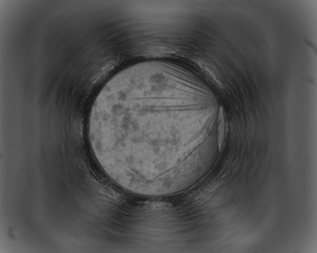 X0000096950539200802291059