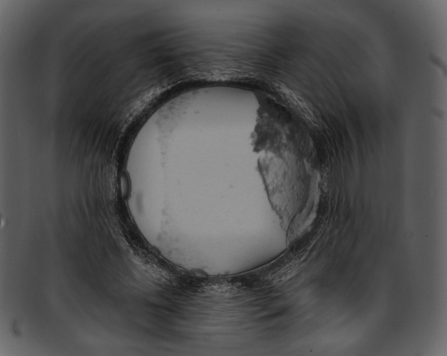 X0000096950540200802291059