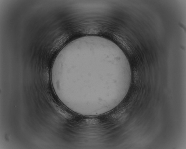 X0000096950541200802291059