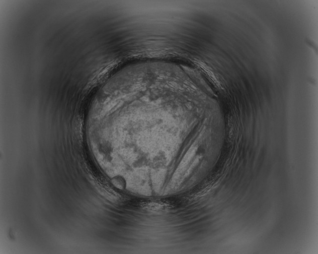 X0000096950542200802291059