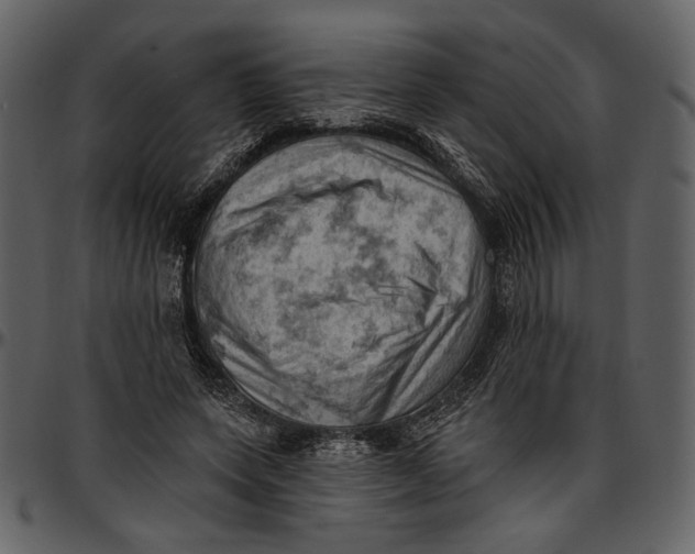 X0000096950543200802291059