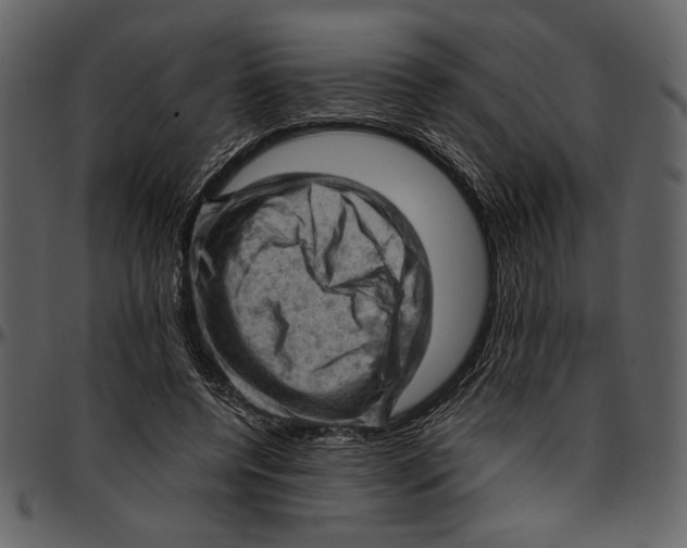 X0000096950544200802291059