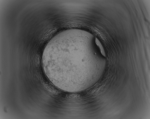 X0000096950546200802291059