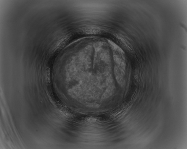 X0000096950547200802291059