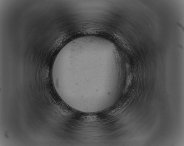 X0000096950548200802291059