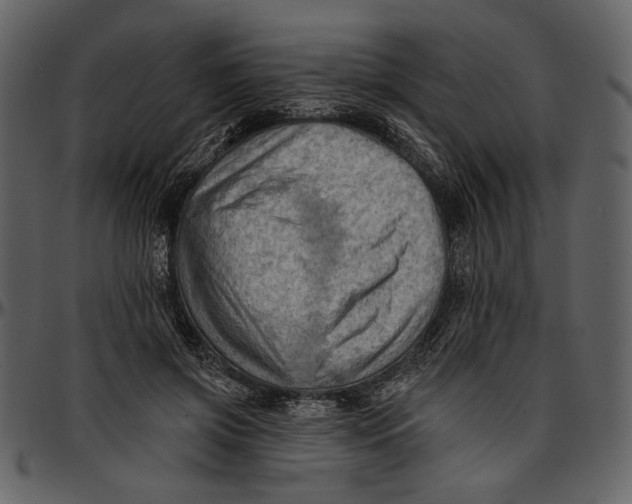 X0000096950549200802291059