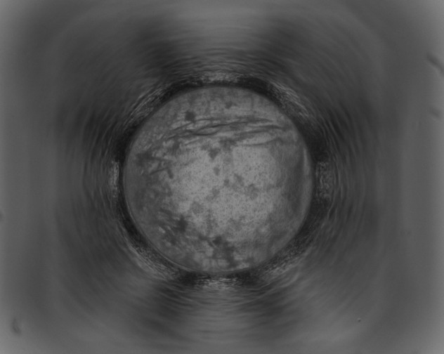 X0000096950550200802291059