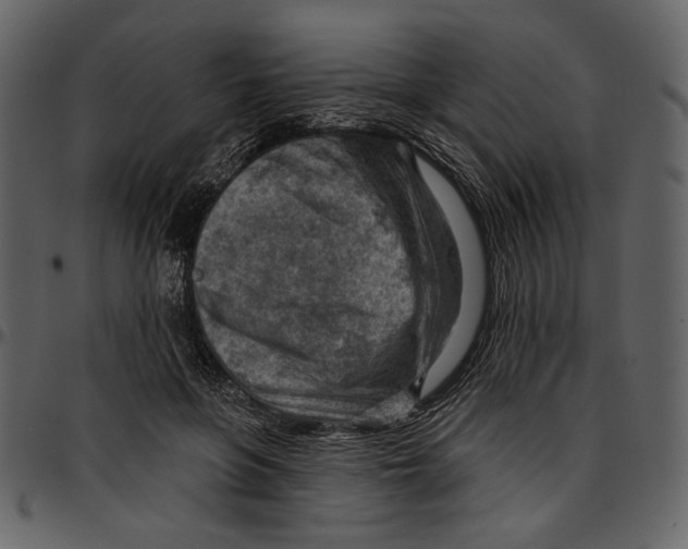 X0000096950551200802291059