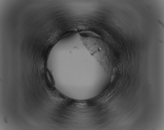 X0000096950552200802291059