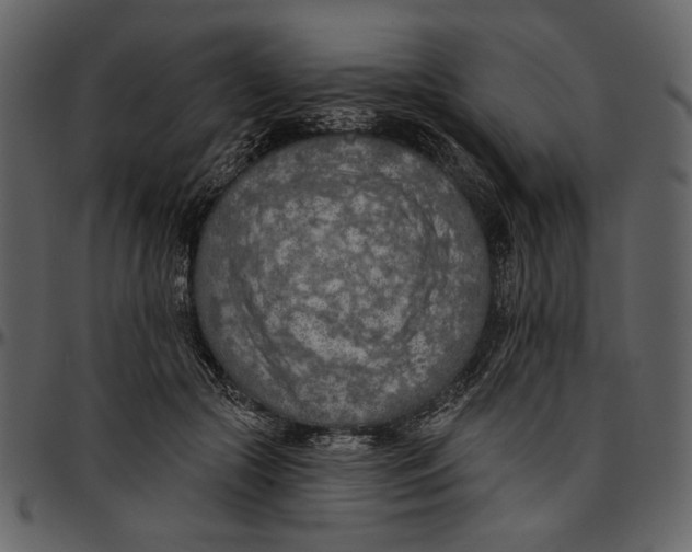 X0000096950553200802291059