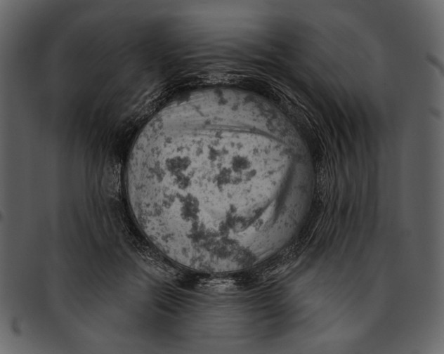 X0000096950554200802291059