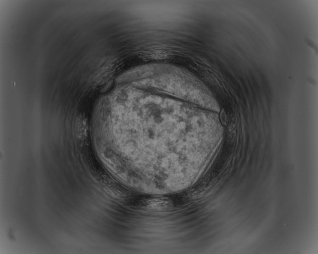 X0000096950555200802291059